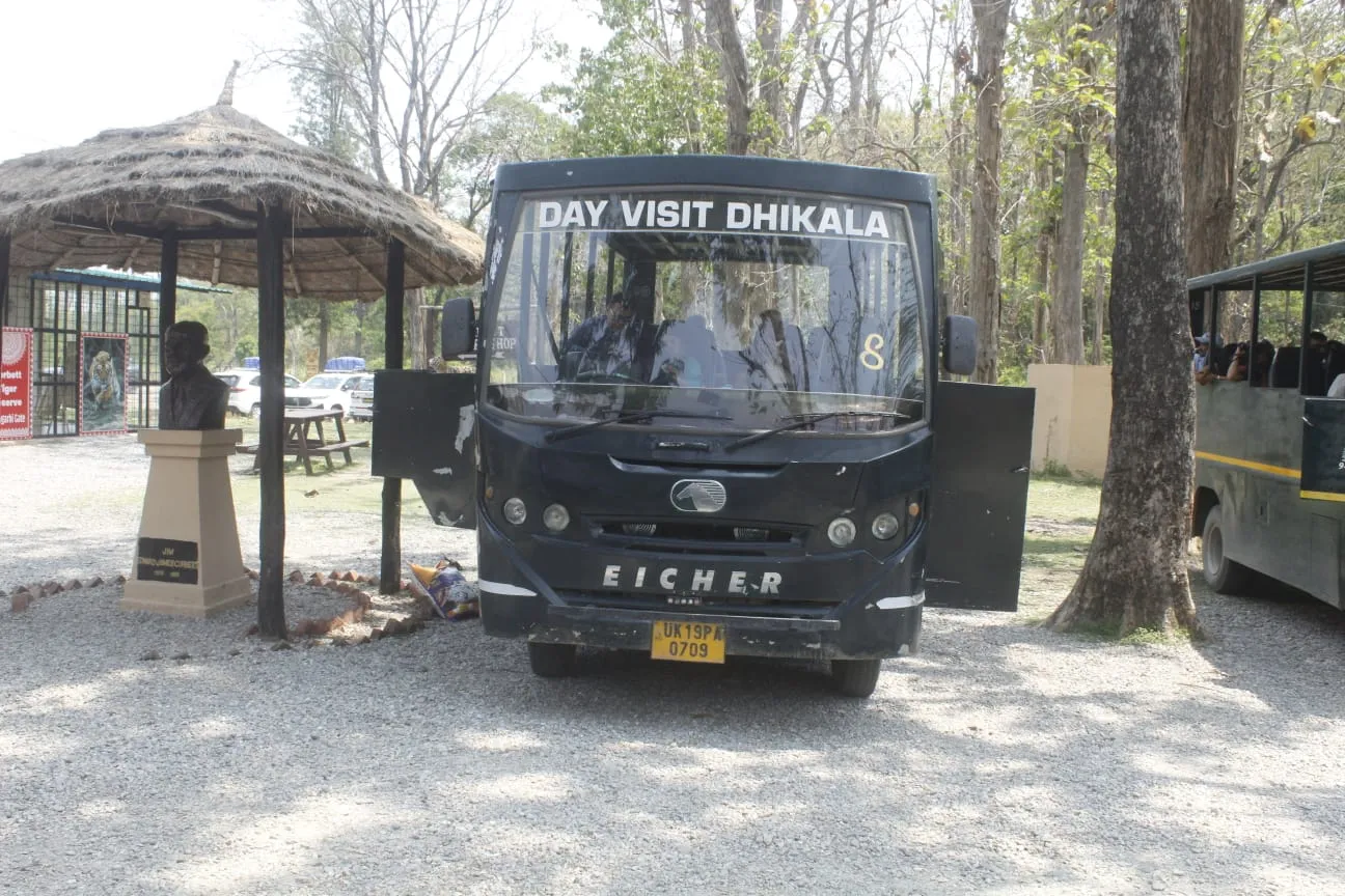Dhikala canter safari in Jim Corbett
