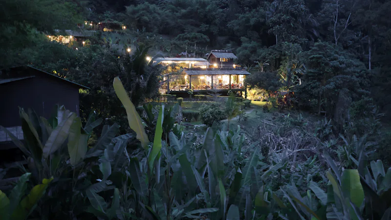 Illuminated riverside lodge buildings surrounded by dense forest at night