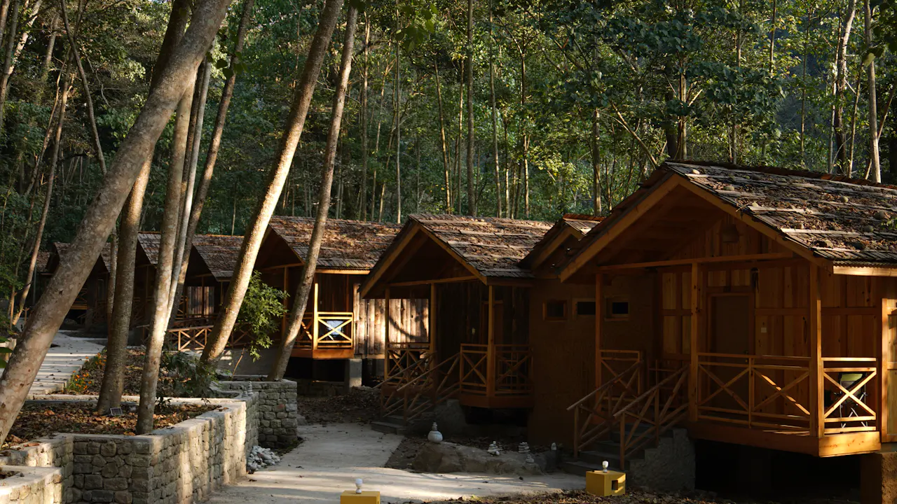 Row of simple wooden cottages with verandas set among tall forest trees