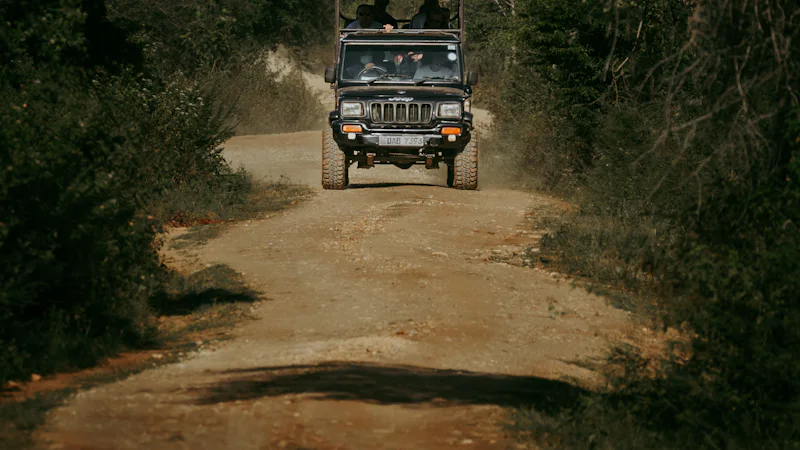Safari jeep with passengers driving on a forest track